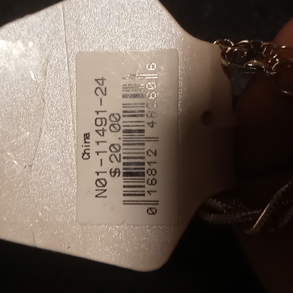 KIM Rogers 24 inch long gold double link chain.nwt. - Picture 5 of 5